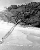 Old boardwalk & dock - circa 1950's